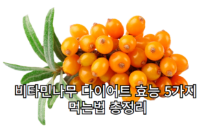 비타민나무