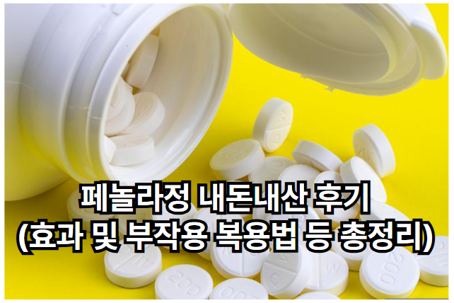 페놀라정 내돈내산 후기(효과 및 부작용 복용법 등 총정리)