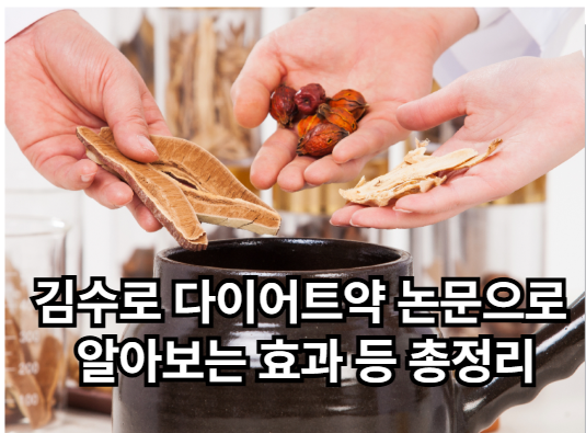 김수로 다이어트약